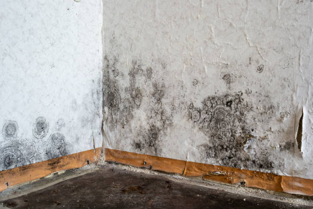 Water Damage Restoration in Midvale, UT